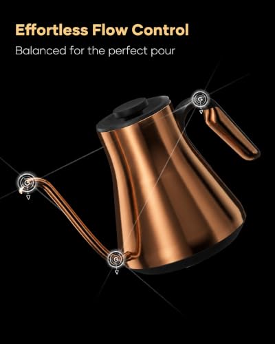 Gooseneck Electric Kettle