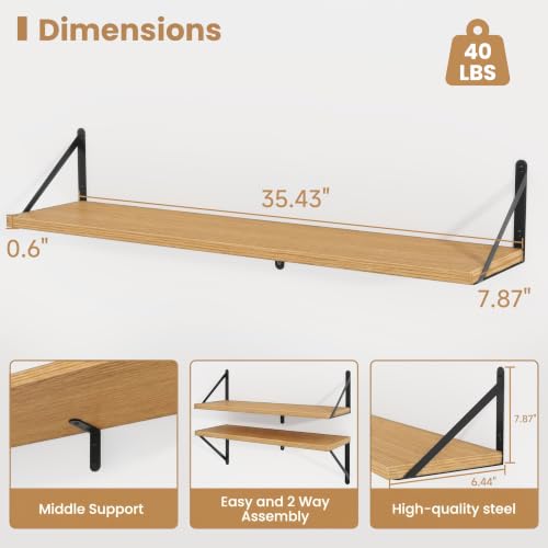 Floating Book Shelves for Wall (3 Count)