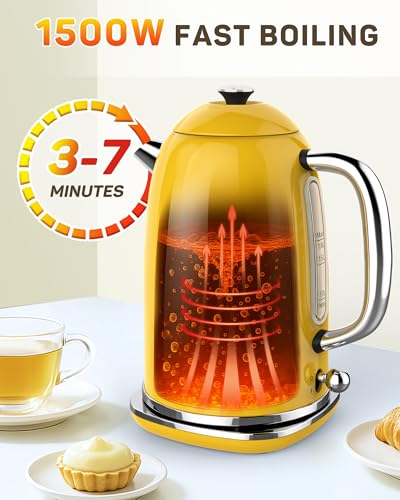 61 oz Electric Kettle with Thermometer