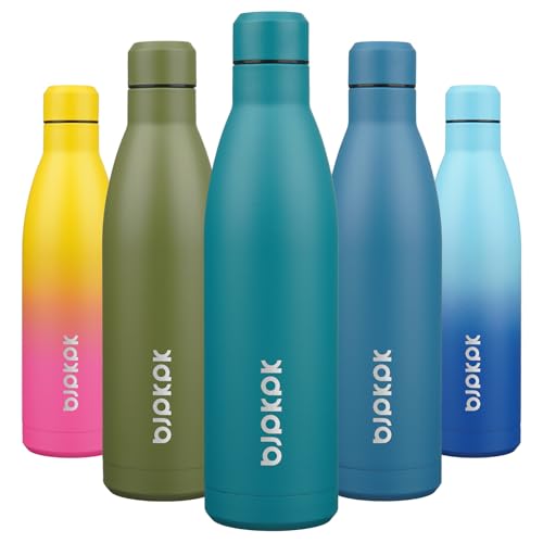 25 oz Insulated Stainless Steel Water Bottle