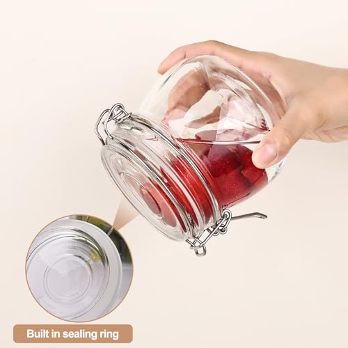 16oz 6 Pack Round Glass Jars with Airtight Lid (6 Count)