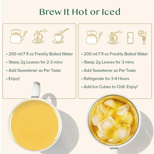 Assorted Green Tea Bags Sampler (20 Count)