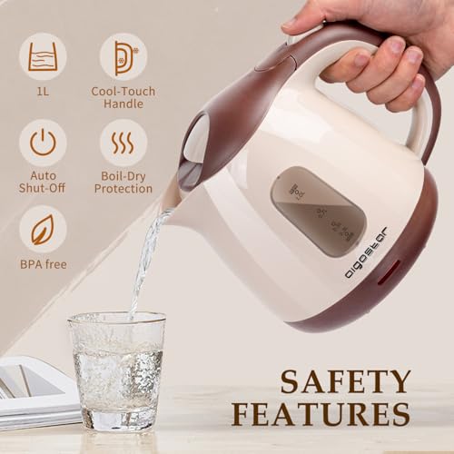 Small Electric Kettle