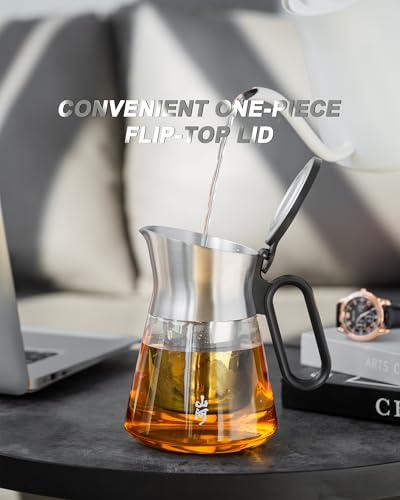 17 oz Small Glass Teapot with Infuser For Loose Leaf Tea Steeper