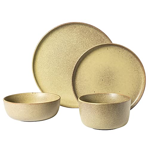 James Street 16 Piece Stoneware Matte Reactive Double Bowl Dinnerware Set