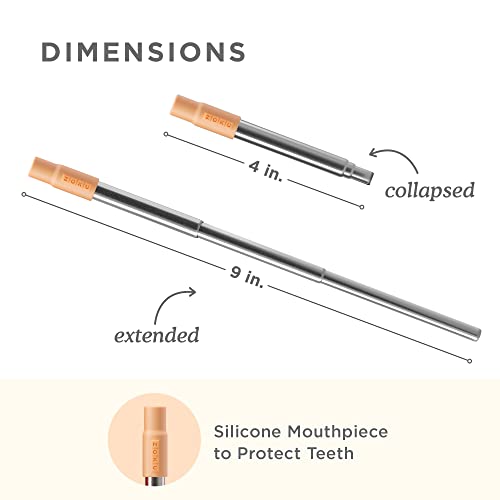 Reusable Metal Straw with Case