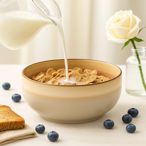 Stoneware Ceramic Cereal Bowls Set of 4 (4 Count)