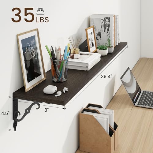 Floating Shelves for Wall Decor (2 Count)