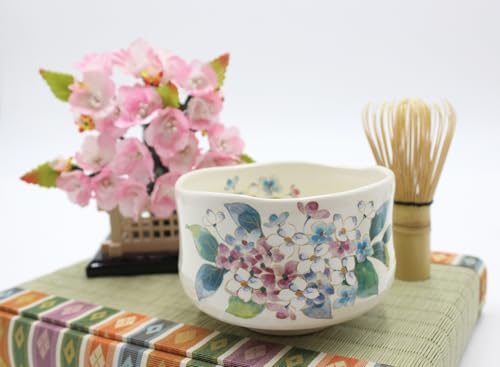 Japanese Traditional Handcrafted Matcha Chawan Tea Bowl Cup Set of 5 Ceremony Tableware Pottery