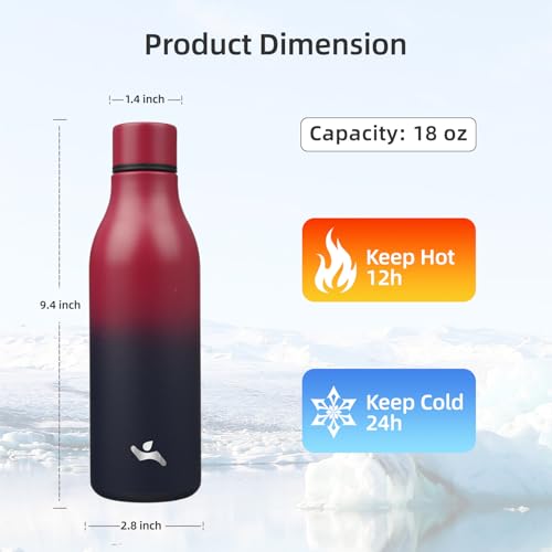 18 oz Insulated Stainless Steel Metal Water Bottle with Strap