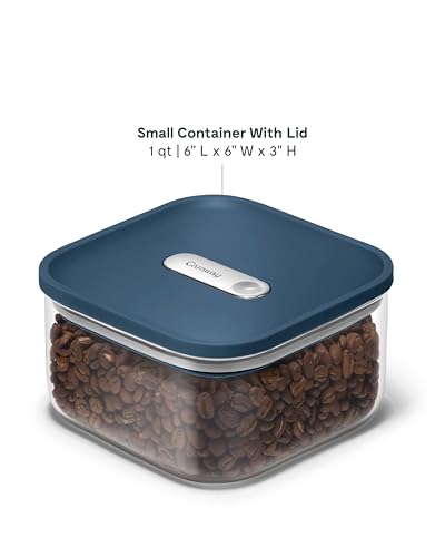 1 qt Glass Airtight Food Storage Container with Lid