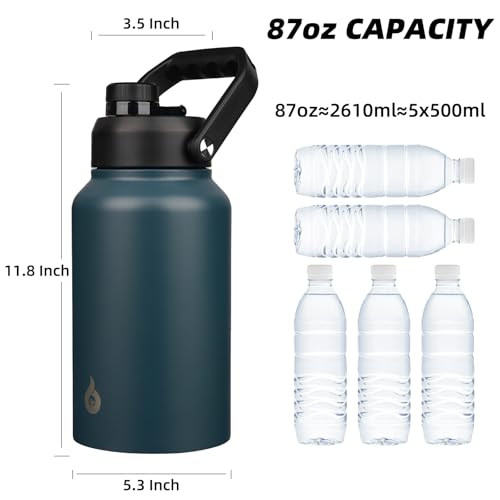 87oz Insulated Water Bottle