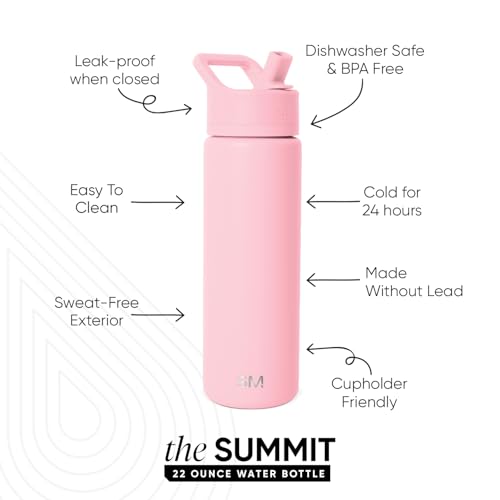 Insulated Water Bottle with Straw