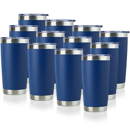 20oz Stainless Steel Tumbler Bulk with Lid (12 Count)