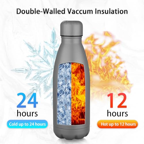 Insulated Water Bottle (2 Count)