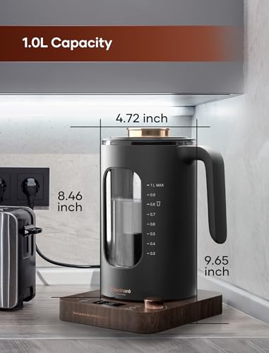 Electric Tea Kettle with Infuser