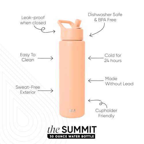Insulated Water Bottle with Straw