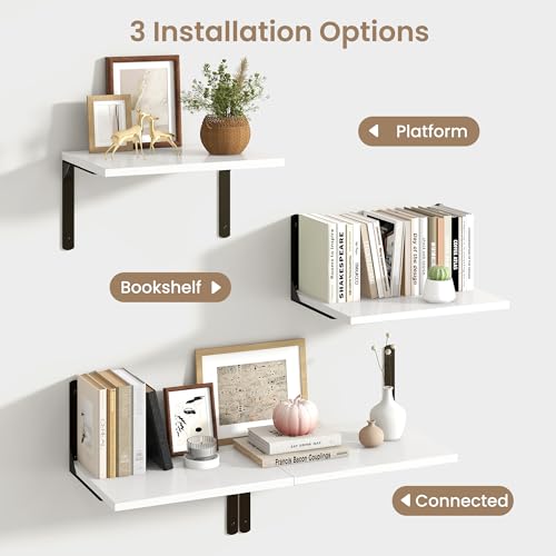 Floating Shelves for Wall (2 Count)