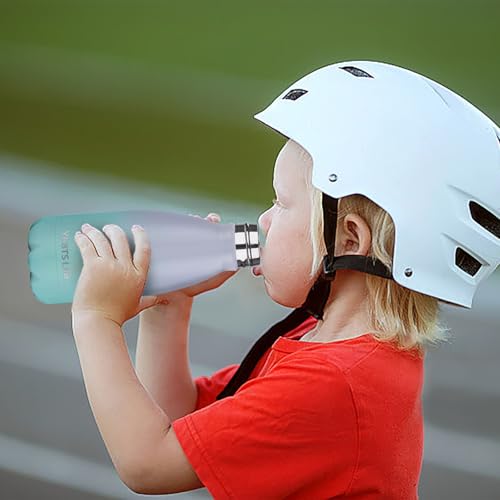 Insulated Water Bottle (2 Count)
