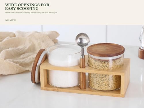 18 oz Glass Seasoning Jars with Wood Lids