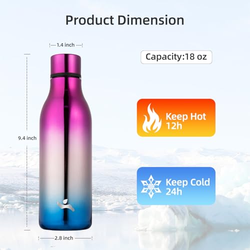 18 oz Insulated Stainless Steel Metal Water Bottle with Strap