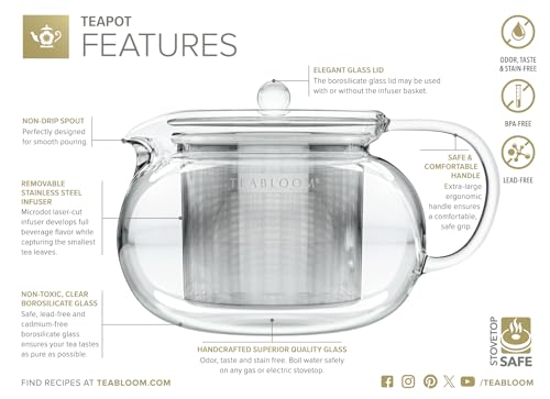 Kyoto 2-in-1 Tea Kettle/Tea Maker – Heatproof Glass Teapot with Removable Loose Tea Filter – Tea Connoisseur's Choice