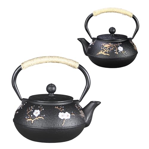 Cast Iron Teapot SECHUDO Teapot for Stovetop Safe Coated with Enameled Interior