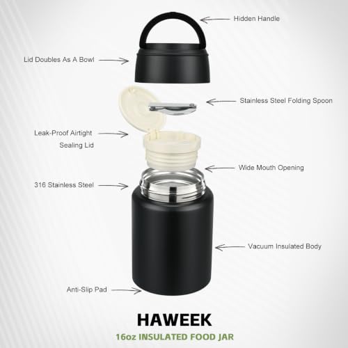 16oz Insulated Food Jar with Spoon