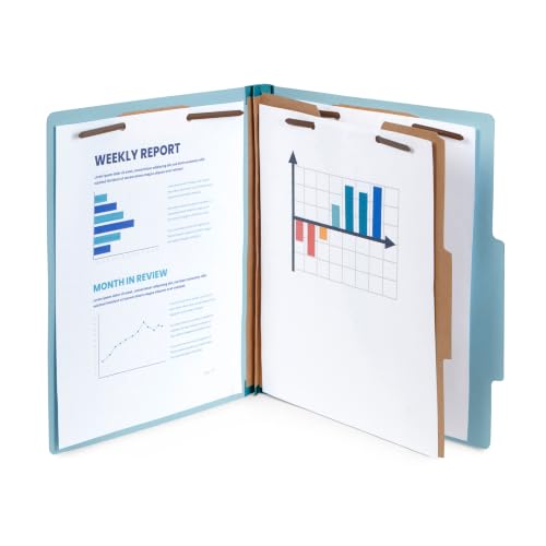 10 Classification Folders (10 Count)