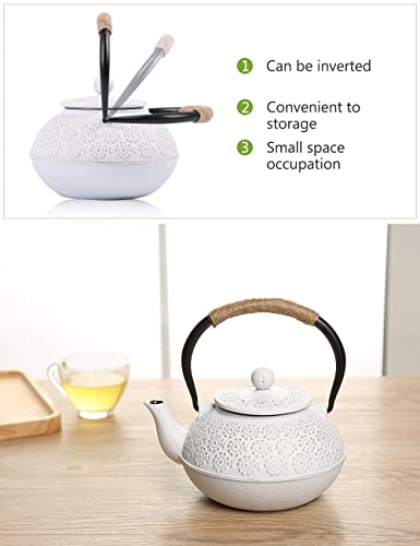 Cast Iron Tea Pot with Infusers for Loose Tea
