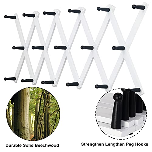 Accordian Wall Hanger