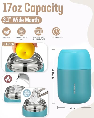 17oz Insulated Food Jar with Spoon
