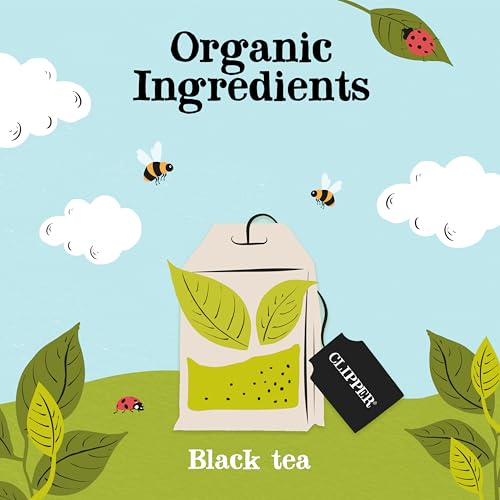 Clipper Organic Everyday Black Tea (320 Count)