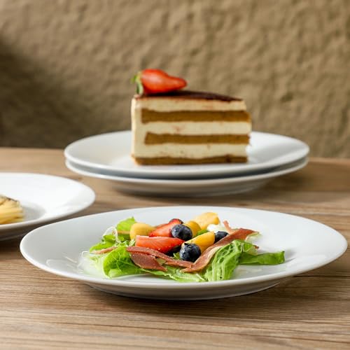 4 Piece Salad Plates Set (4 Count)