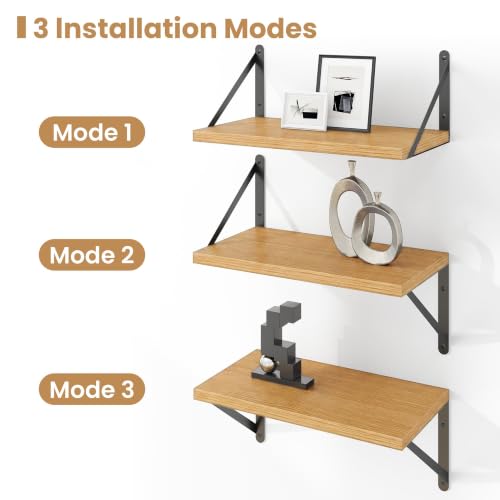 Floating Book Shelves for Wall (3 Count)