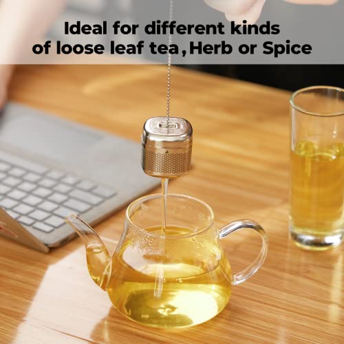 2 Pack 304 Stainless Steel Tea Infuser for Loose Leaf Tea (2 Count)