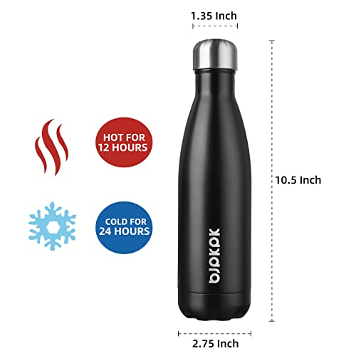 17 oz Insulated Water Bottle