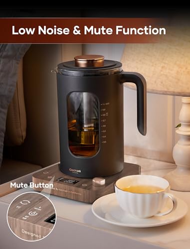 Electric Tea Kettle with Infuser