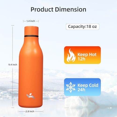 18 oz Insulated Stainless Steel Metal Water Bottle with Strap