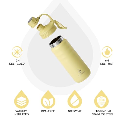 Insulated Stainless Steel Water Bottle with 2 Leak