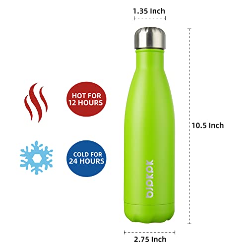 17 oz Insulated Water Bottle