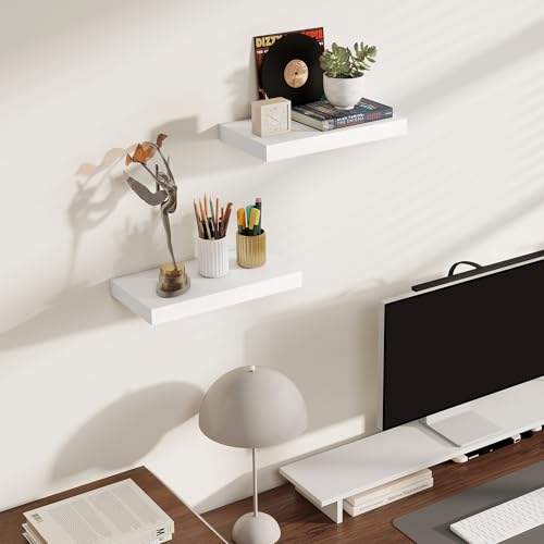 Floating Shelves for Wall (2 Count)