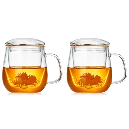 Glass Teacups 2 Pack Glass Tea Cup with Infuser and Lid (2 Count)