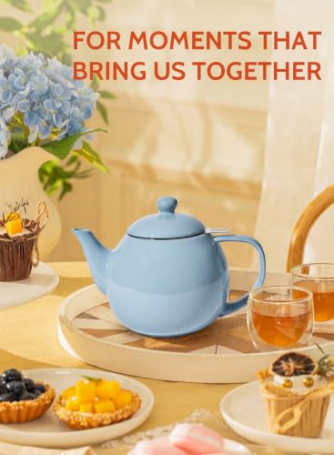 Porcelain Teapot 27 oz with Infuser for Loose Leaf Tea