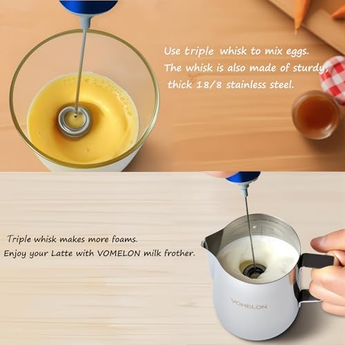 Milk Frother Handheld