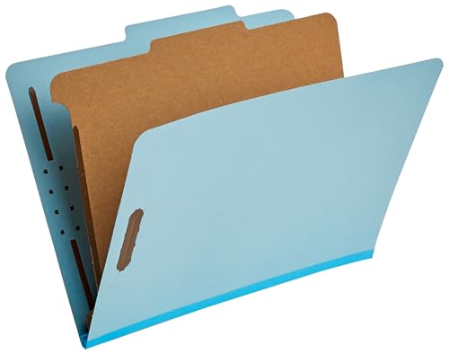Classification Folder for Documents and Organization (10 Count)