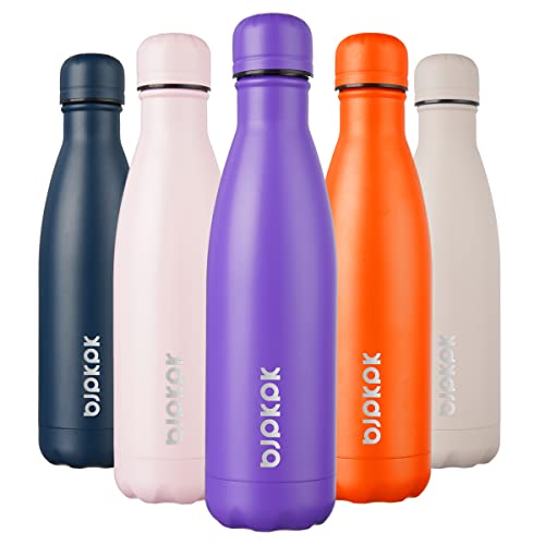 17 oz Insulated Water Bottle