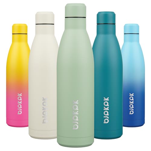 25 oz Insulated Stainless Steel Water Bottle