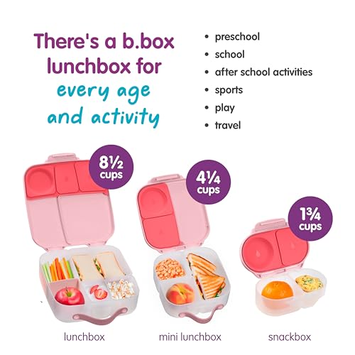 Snack Box Snack Containers for Kids