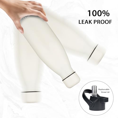 Insulated Water Bottle (2 Count)